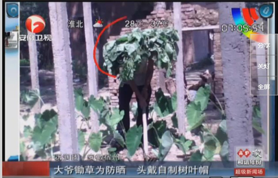 農(nóng)民防曬有絕招，就地取材，頭戴樹葉自制帽子