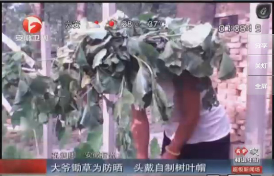 農(nóng)民防曬有絕招，就地取材，頭戴樹葉自制帽子